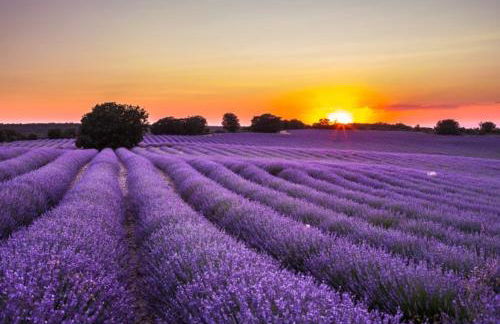 Casa El Mirador - Foto 51