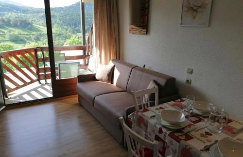 Le Veymont - Foto 20