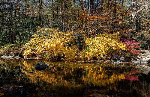 Heated Indoor Private Pool Stream Front Game Room - Photo 38