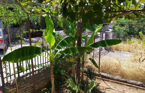 Levak Apartments - Apt.3 - Photo 31