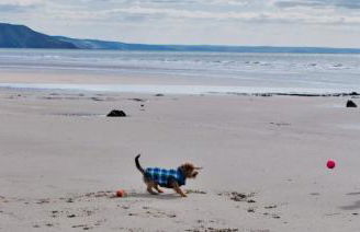 Enlli Fach cabin sleep's 2 adults and 2 children 2 dogs welcome not suitable for contract workers due to parking height restrictions - Photo 41