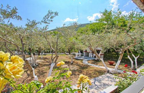 The House of Olive Trees - Photo 6