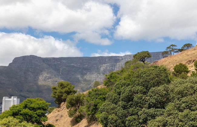 Unique City View Apartment in De Waterkant 207 DWP - Foto 30