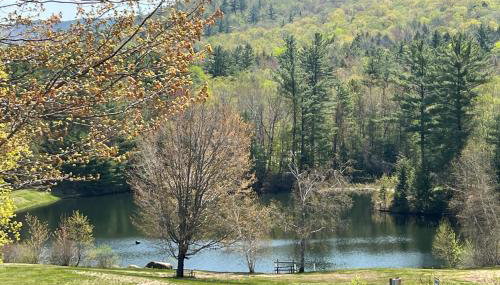 Sleepless in Snowood - Foto 2