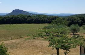 Gîte - Mas de Louise - Foto 20