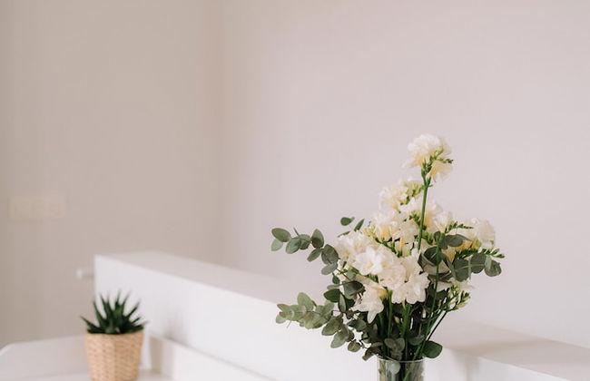 San Bernardo 19 - Foto 12