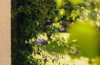 Lavender House - Foto 71