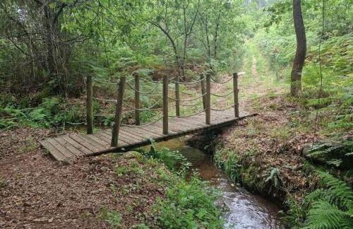 Dalpendre - Turismo em espaço rural - Foto 13