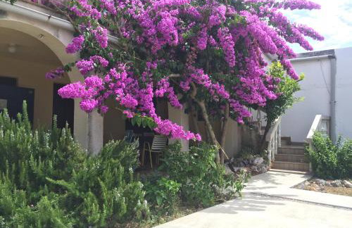 House Luna - Foto 23