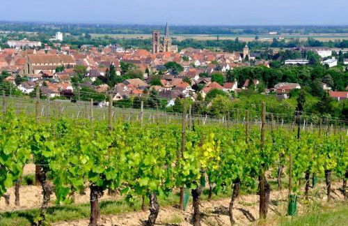 La Sorcière in a typical Alsatian house - Foto 20