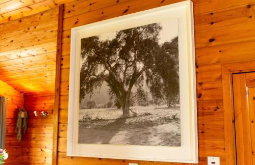 Chalet Lodge 4 - Hot Tub Lodge by Interhome - Foto 17