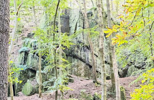 FeWo Burgblick - Foto 18