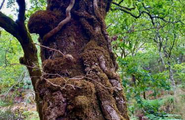 Casa de Clarisse - Foto 20