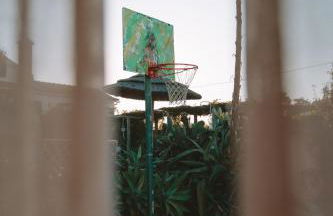 João Jungle - Foto 56