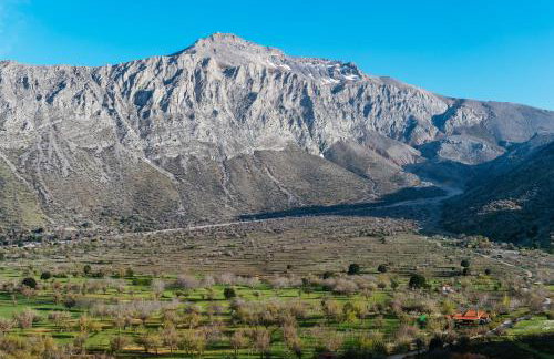 Vasilikata - Foto 99