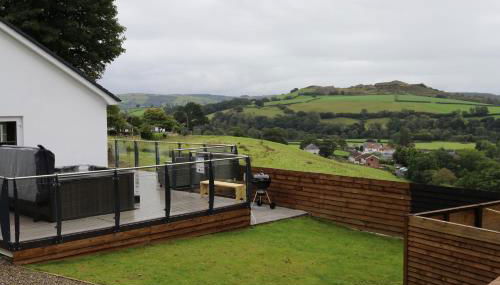 Llwynblyfyn - Foto 3