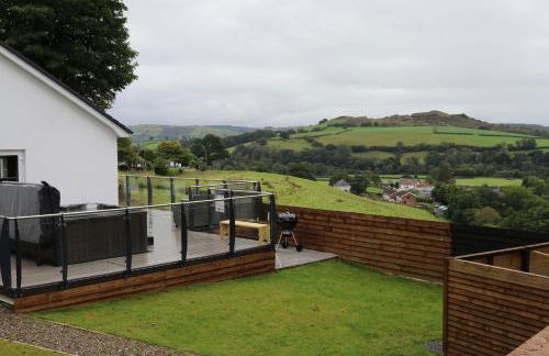 Llwynblyfyn - Foto 3