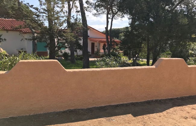 Villa Susy al mare - Photo 59