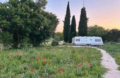 Villa Kresina - Photo 48