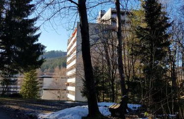 Ferienwohnung Tannenballett im Schwarzwald - Foto 38