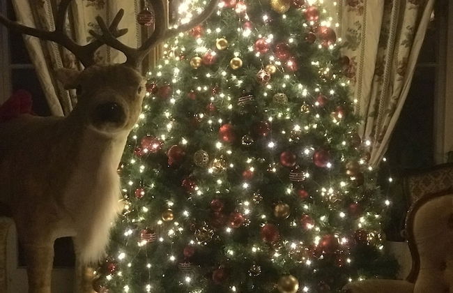 Hellefors Herrgård - Photo 33