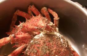 Le Cottage de la Plage - 2ch, 2 SDB - Terrasse - Déco de charme - 500m plage - Photo 7