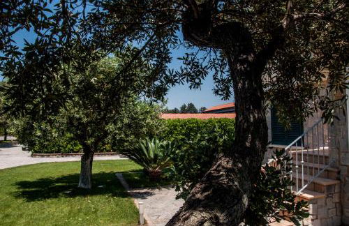 OLIVETO A MARE - Suite & Apartment - Foto 66