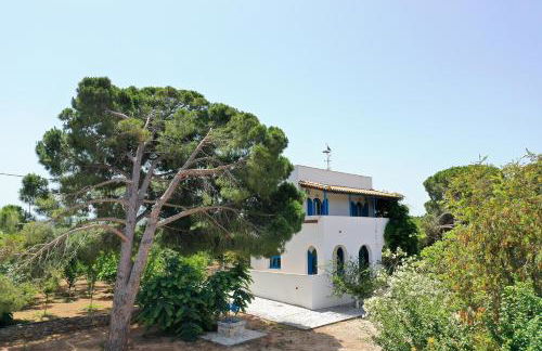 Villa Messinia - Foto 10