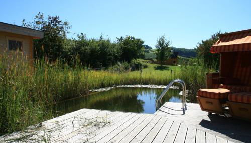 Ferien auf dem Weingut - Foto 4