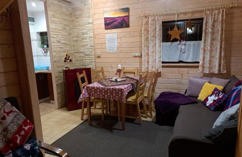 Domki Borowiackie nad brzegiem jeziora - Foto 58