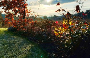 Memi's Home - villetta relax per famiglie con giardino - Foto 27