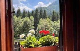 La casa del Cucù al Ravascletto, 900mt from cable car - Foto 24