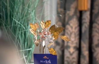 Blue Ark Acropolis Light - Foto 32