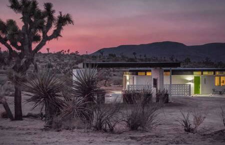 Desert Diamond- Joshua Tree Cowboy Pool and Spa - Foto 7