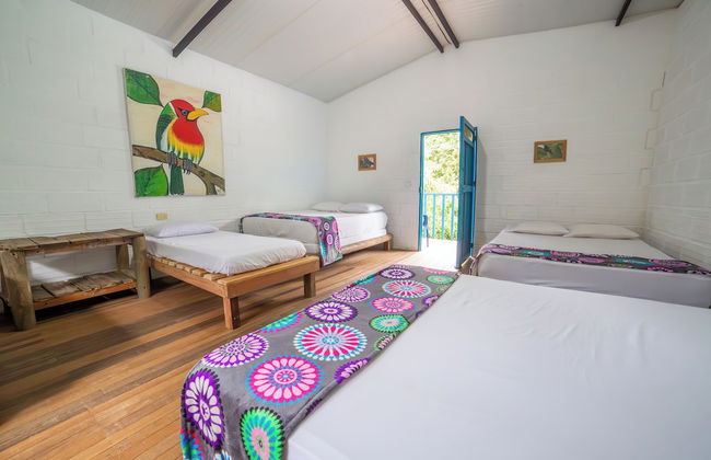 La Posada De Las Aves - Photo 8