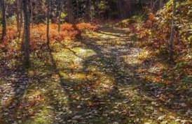 Barton City Lodge - Foto 29