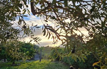 Villa del Carrubo a due passi dal mare di Cefalù - Foto 40