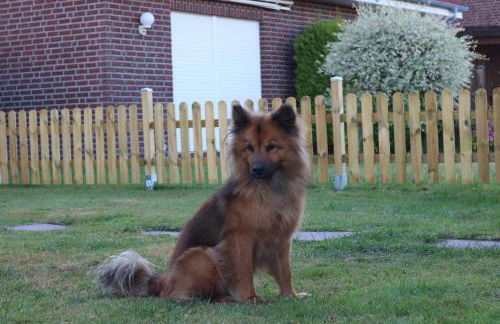 Ferienhaus Robby - Photo 33