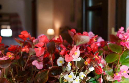 Lugar Dos Devas - Foto 33