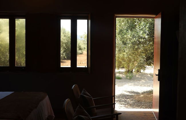 Alma Liebre Viñedos del Valle - Foto 15