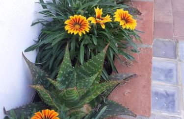 Rispescia Casa Vacanze Grosseto - Foto 23