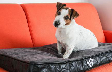 La Casa di Pamy - Foto 20