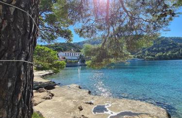 Villa Iva Lastovo - Foto 47