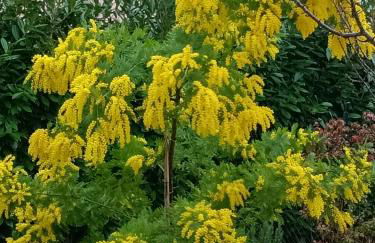 Colle Perazzoni - Foto 35