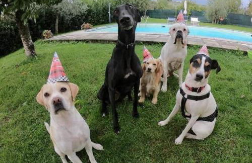 Casa Galina - Foto 32