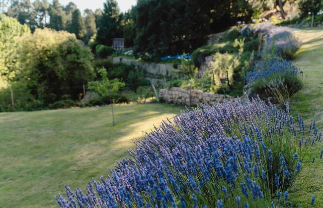 Casa Agrícola da Levada Eco Village - Foto 61