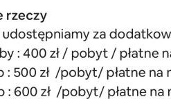 Sękata Chata - drewniany domek z jacuzzi - Foto 33