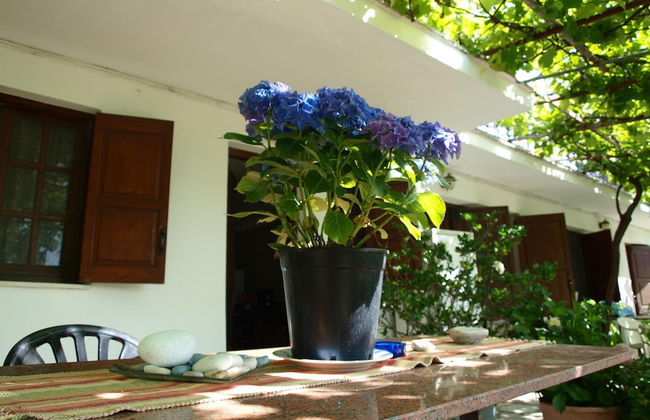 Paradeisos Studio With Garden View - Foto 3