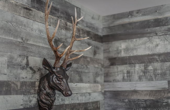 Le Panache des bois - Foto 10