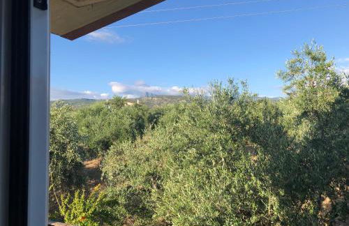 Beautiful Farm House - Foto 27